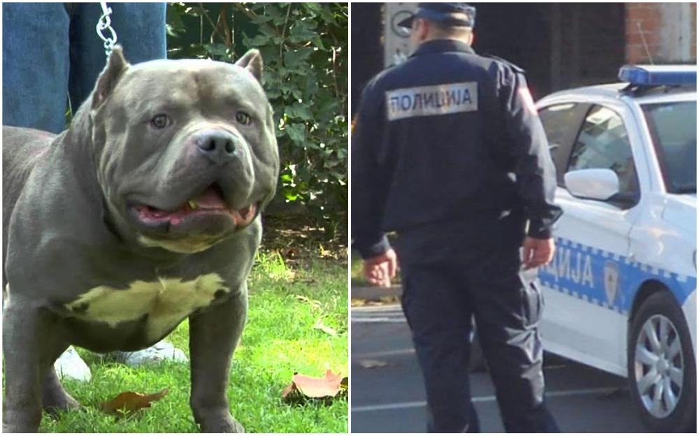 Užas kod Teslića: Pit bull napao djecu, pa ga objesio otac dječaka