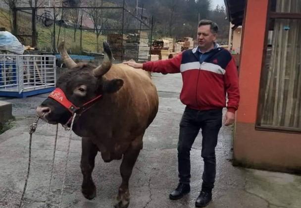 Sve je spremno za veliku koridu u Olovskim Lukama u subotu: Očekuje se veliki broj gostiju