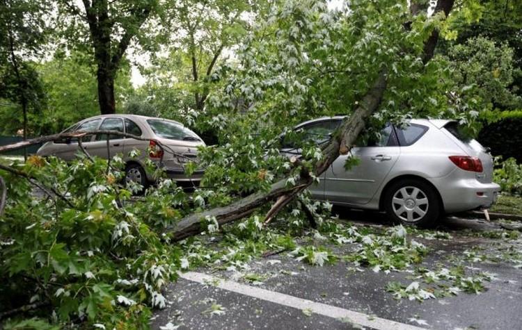 Zbog oborenog stabla, obustavljen saobraćaj na putnom pravcu Derventa-Bosanski Brod