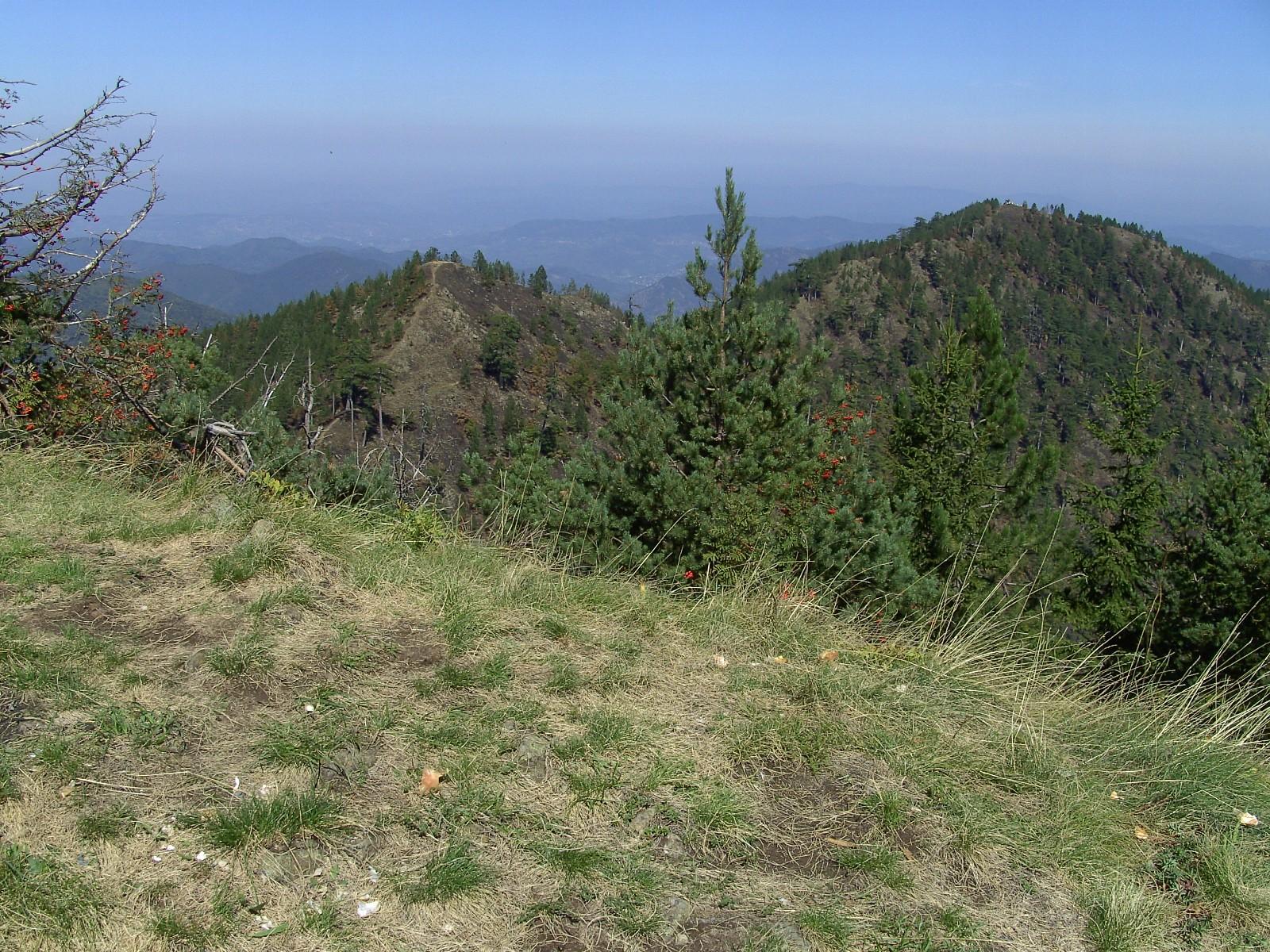 Planina Tajan - Avaz