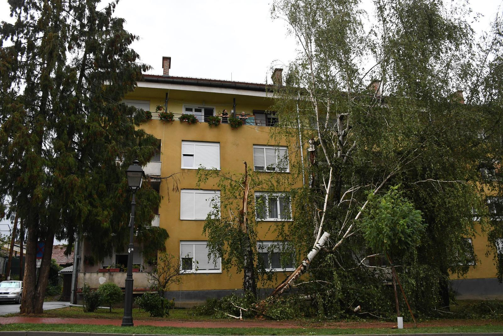 Uništeni krovovi, padalo drveće, stradao i stub od dalekovoda - Avaz