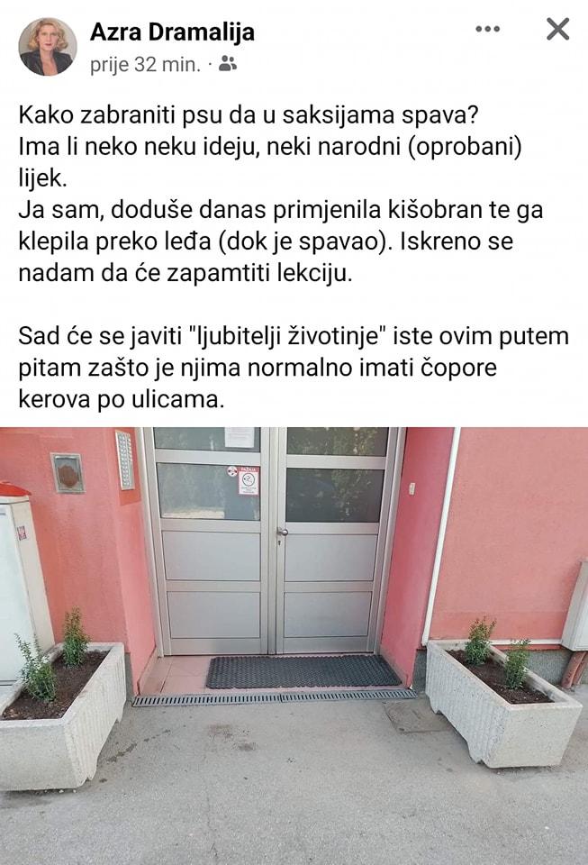 Objava Dramalije na Facebooku - Avaz