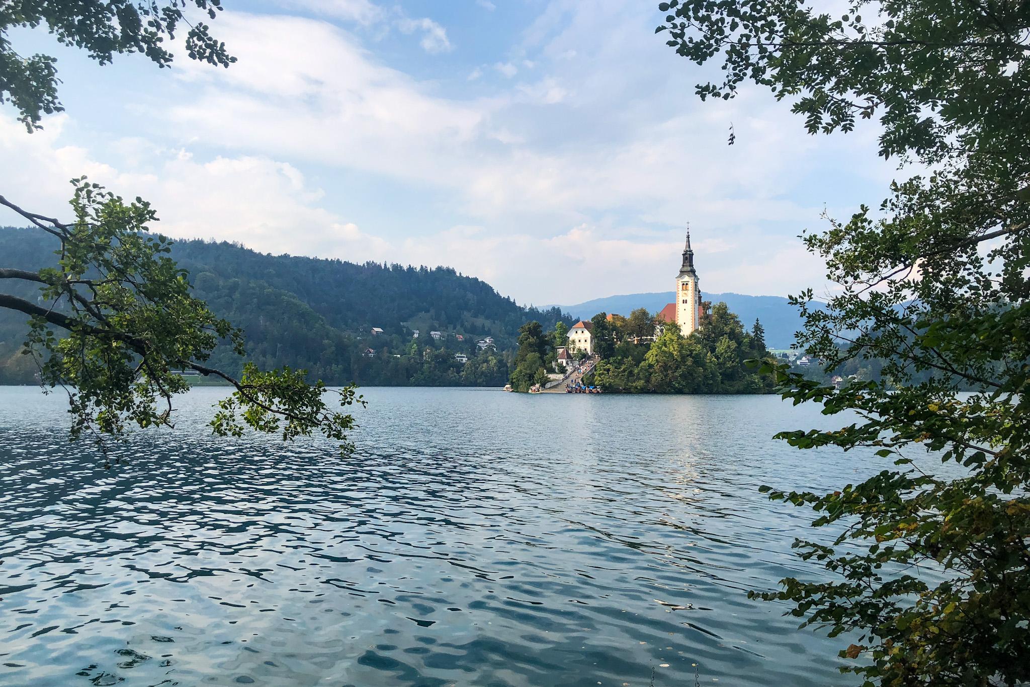 Bled - Avaz