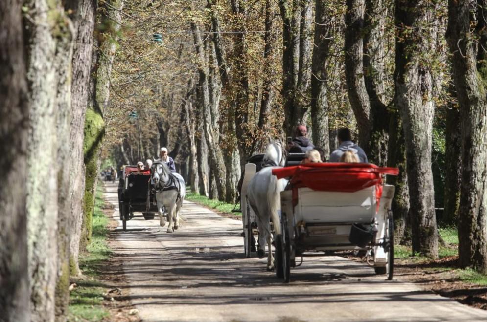 Fijakeristima obezbijeđena sredstva za nabavku dresiranih konja