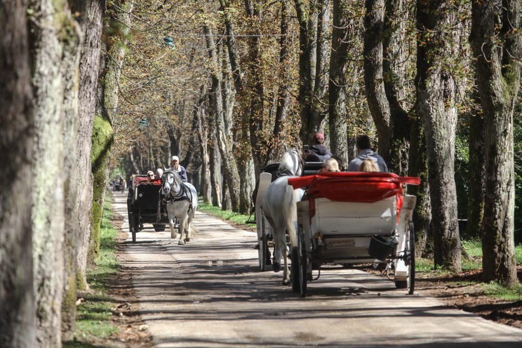 Očuvanje ovog jednog od najstarijih zanata u Bosni i Hercegovini - Avaz