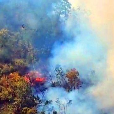 Put ka Stocu prohodan: Situacija na požarištu kod Ljubinja nešto bolja