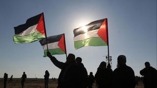 Stotine ljudi u Švedskoj na skupu podrške Palestini