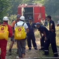 Iako je protupožarna sezona pred vratima: Federacija BiH opet bez letjelice za gašenje požara