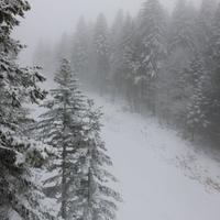 Zimska romansa na olimpijskim planinama Igmanu i Bjelašnici