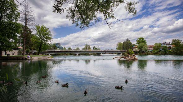 Bihać - Avaz