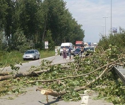 Na Beogradskom keju - Avaz