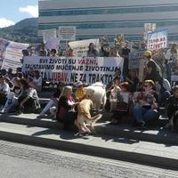 Održani protesti zbog ubistva psa Mede u Istočnom Sarajevu: "Svi životi su važni, zaustavimo mučenje životinja"