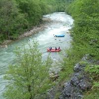 Djevojka skočila s mosta u rijeku Lim, pa se zaglavila u granju: Vatrogasci odmah došli na lice mjesta