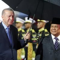 Erdoan doputovao u zvaničnu posjetu Indoneziji