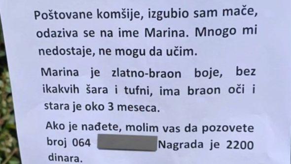 Oglas: Dječak iz Srbije dirnuo regiju  - Avaz