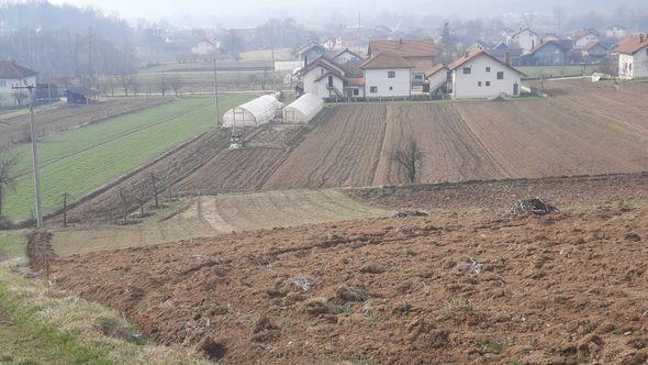 Mnogi sade za vlastite potrebe - Avaz