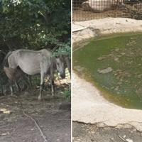 Danima nema vode na Smetovima kod Zenice, ugroženi ljudi i životinje