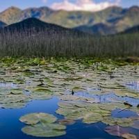 Prevrnuo se brod na Skadarskom jezeru