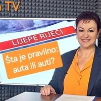 Šta je pravilno: auta ili auti?