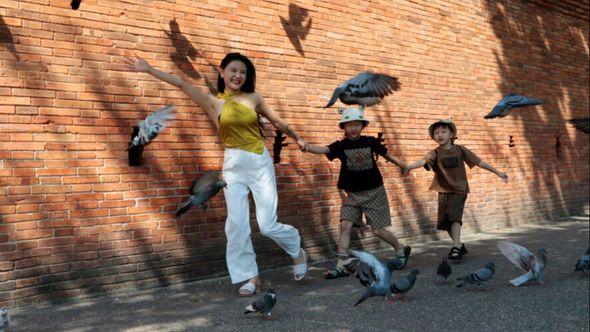 Chinese tourists play with pigeons at Tha Phae Gate in Chiang Mai province, northern Thailand - Avaz