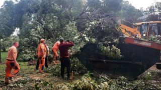 Nakon olujnog nevremena pune ruke posla za gračaničke komunalce: Štete će procijeniti komisija