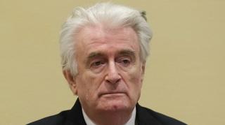 Zagrebački sud odbio priznati 5 milijardi dolara žrtvama Radovana Karadžića
