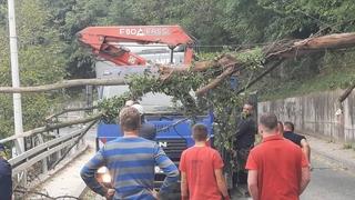 Na regionalnom putu Gračanica-Srnice snažan vjetar oborio stablo