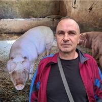 Milovan o napadu svinje koja ga je ujela za genitalije: “Udarao sam je i sipao joj jod na glavu"