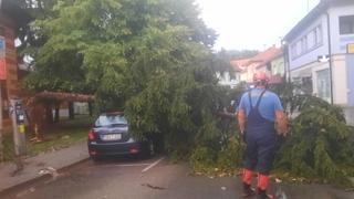 Zastrašujuće nevrijeme zahvatilo Gračanicu: Srušilo se stablo