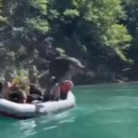 Nikola Jokić izveo salto na raftingu i izazvao oduševljenje