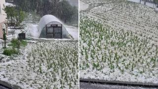 Nevrijeme napravilo havariju u blizini Tuzle: Grad uništio usjeve