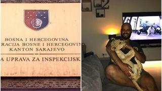 Inspekcija KS formirala predmet u vezi lava na Poljinama