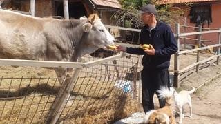 Amer Beganović spasio stotine životinja od sigurne smrti: Što se više družim sa životinjama, sve manje volim ljude