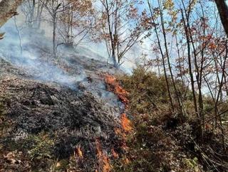 Vatrogasci imali pune ruke posla: Požar u reonu Čelinske planine kod Konjica