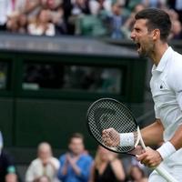 Is Novak Djokovic the favorite at Wimbledon? 