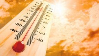 Planeta se sve više zagrijava: Broj dana s temperaturom iznad 35 stepeni nezaustavljivo raste