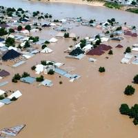 Velike poplave u Nigeriji: Na ulicama krokodili i zmije