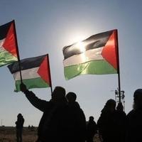 Stotine ljudi u Švedskoj na skupu podrške Palestini