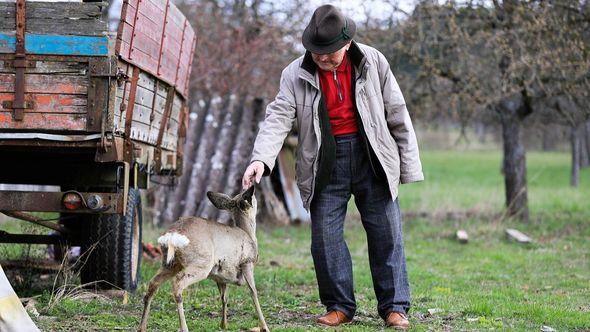 BiH: U porastu broj stogodišnjaka - Avaz