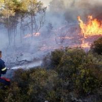 Više od 1.000 evakuisanih u Portugalu zbog požara 