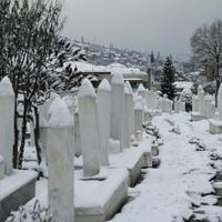 Mapiranje mezarja i grobalja šehida i poginulih boraca u BiH: Trajni doprinos očuvanju sjećanja na najhrabrije sinove i kćeri