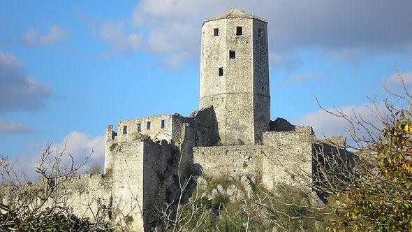 Počiteljska tvrđava   - Avaz