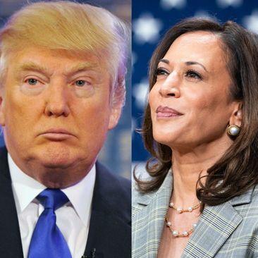 kamala harris donald trump - Avaz