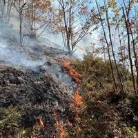 Vatrogasci imali pune ruke posla: Požar u reonu Čelinske planine kod Konjica