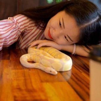 Kafić u kojem posjetiocima društvo prave zmije i gušteri