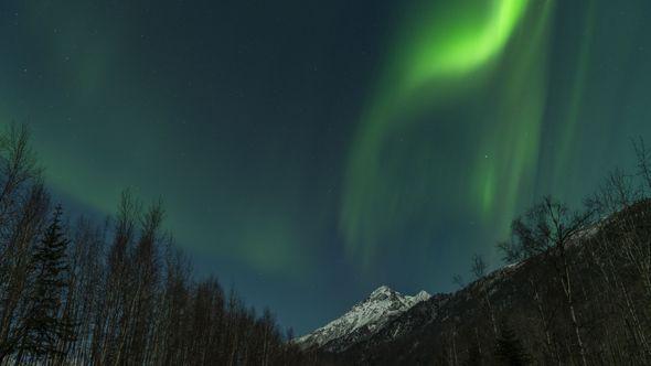 Polarna svjetlost na Aljasci - Avaz