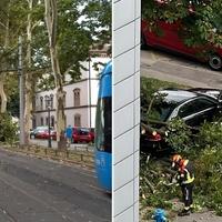 Snažna oluja u Zagrebu rušila stabla, stali i tramvaji