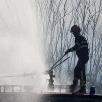 Lokaliziran veliki šumski požar na području Barbana
