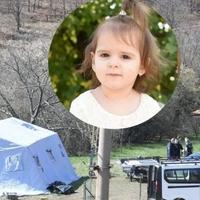 Danka (2) izašla iz šipražja: Ovako je GPS signal pomogao policiji da "sklopi kockice" zločina