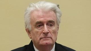 Ratni zločinac Karadžić tužio Veliku Britaniju jer ne smije koristiti laptop